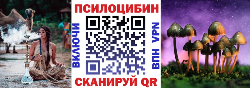 Галлюциногенные грибы Psilocybe Гаврилов Посад