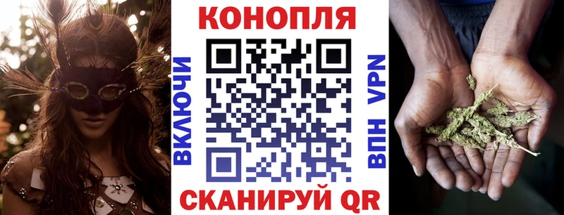 Каннабис OG Kush Гаврилов Посад